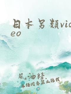 日本另类video