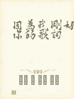 因为我刚好遇见你的歌词