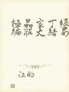 极品家丁绿帽改编版大结局