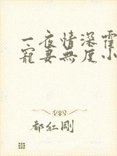 一夜情深霍先生宠妻无度小说