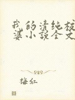 我的清纯校花老婆小说全文免费阅读