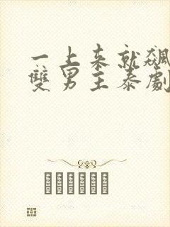 一上来就飙车的双男主泰剧