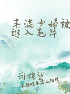 丰满少妇被猛烈进入毛片