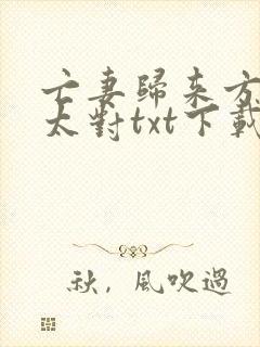亡妻归来方式不太对txt下载免费