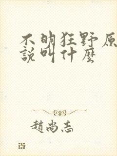不明狂野原著小说叫什么