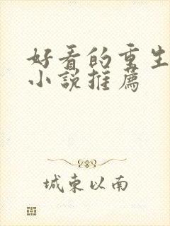 好看的重生穿越小说推荐