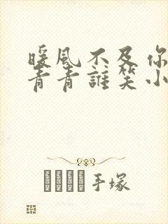 暖风不及你情深青青谁笑小说全本阅读