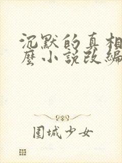 沉默的真相是什么小说改编的