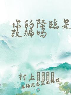 你的降临是小说改编吗