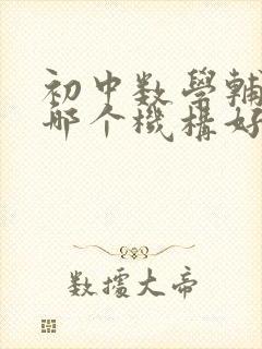 初中数学辅导班哪个机构好