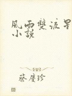 风雨双流星原著小说