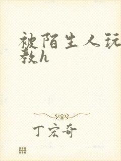 被陌生人玩弄调教h