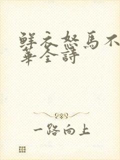 鲜衣怒马不负韶华全诗