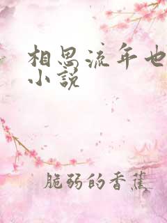 相思流年也成空小说