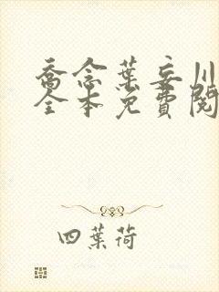 乔念叶妄川小说全本免费阅读1848