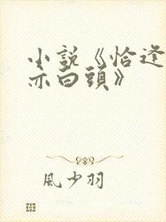 小说《恰逢暮雪亦白头》