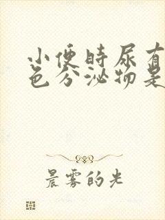 小便时尿有乳白色分泌物是怎么了