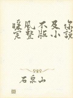 暖风不及你情深完整版小说免费阅读