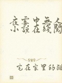 夜雾中无人爱我小说在线阅读