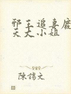 邪王追妻废材逆天大小姐