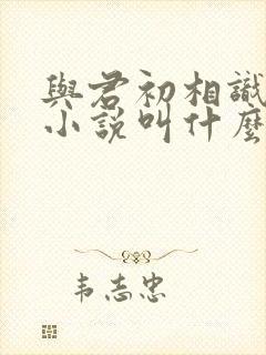 与君初相识原著小说叫什么