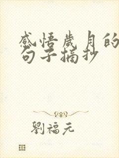 感悟岁月的经典句子摘抄