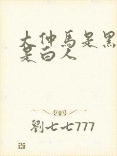 大仲马是黑人还是白人