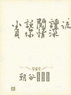 小说阅读流年不负你情深