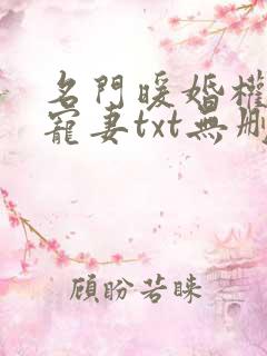 名门暖婚权爷盛宠妻txt无删减