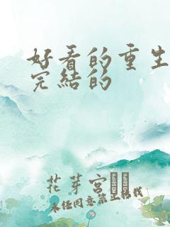 好看的重生小说完结的