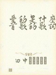 爱的是什么是哪首歌的歌词