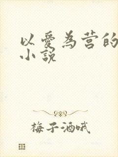 以爱为营的原著小说