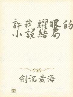 许我耀眼的原著小说结局