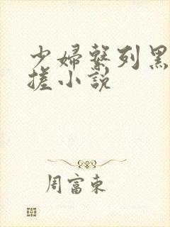 少妇系列黑人揉搓小说