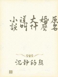 小道大婚原著小说叫什么名字
