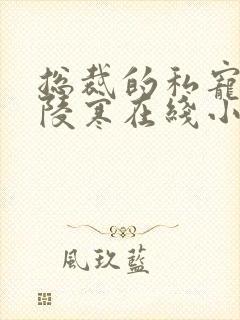 总裁的私宠甜妻陵寒在线小说