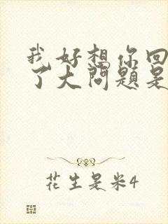 我好想你回忆成了大问题是什么歌