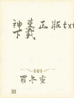 神墓正版txt下载