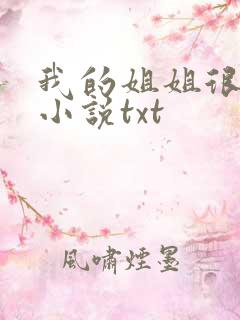 我的姐姐很弟控小说txt