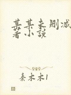 某某未删减版原著小说