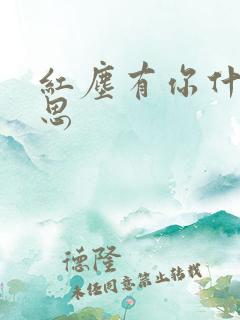 红尘有你什么意思