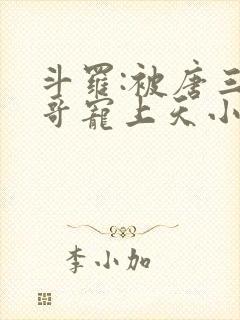 斗罗:被唐三哥哥宠上天小说