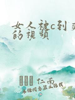 女人被c到爽哭的视频