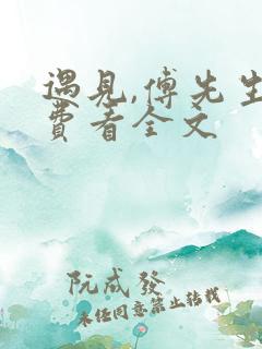 遇见,傅先生免费看全文