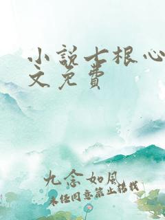 小说七根心简全文免费