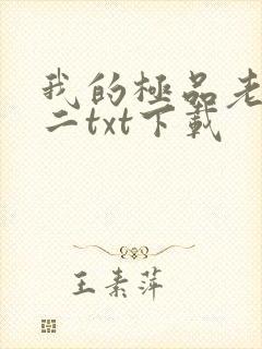 我的极品老婆小二txt下载