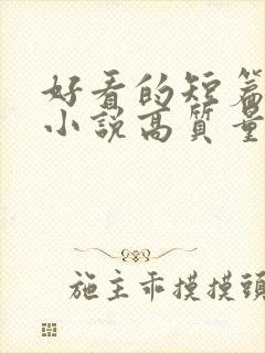 好看的短篇言情小说高质量文笔好