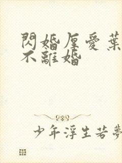 闪婚厚爱叶先生不离婚