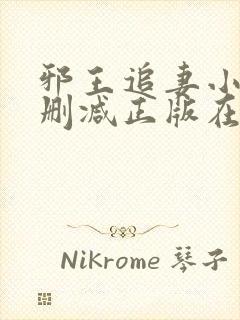 邪王追妻小说无删减正版在线阅读