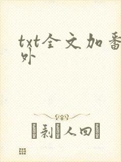txt全文加番外